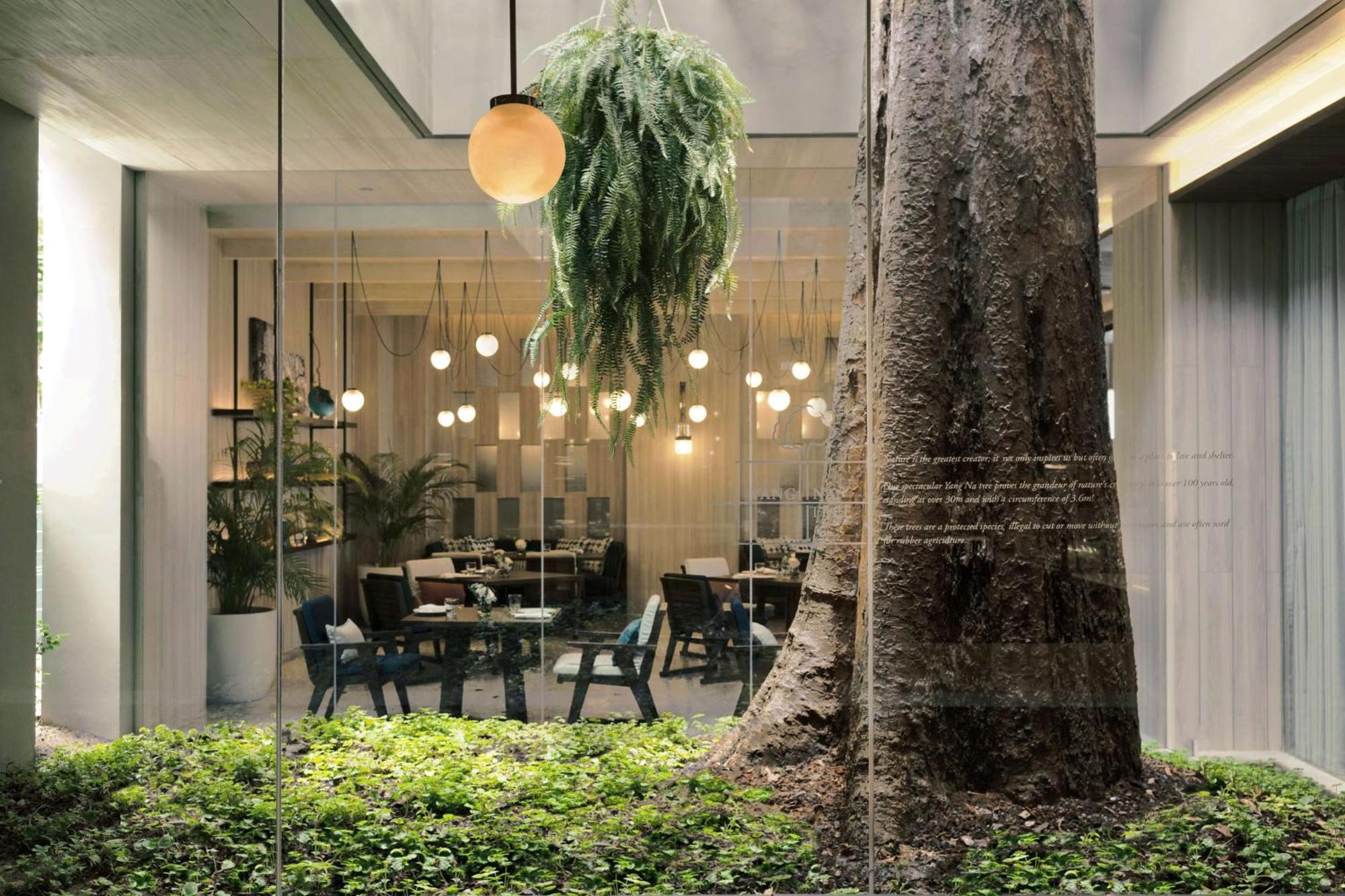 Hotel Hyatt Regency Koh Samui Chaweng  Exterior foto The Treehouse