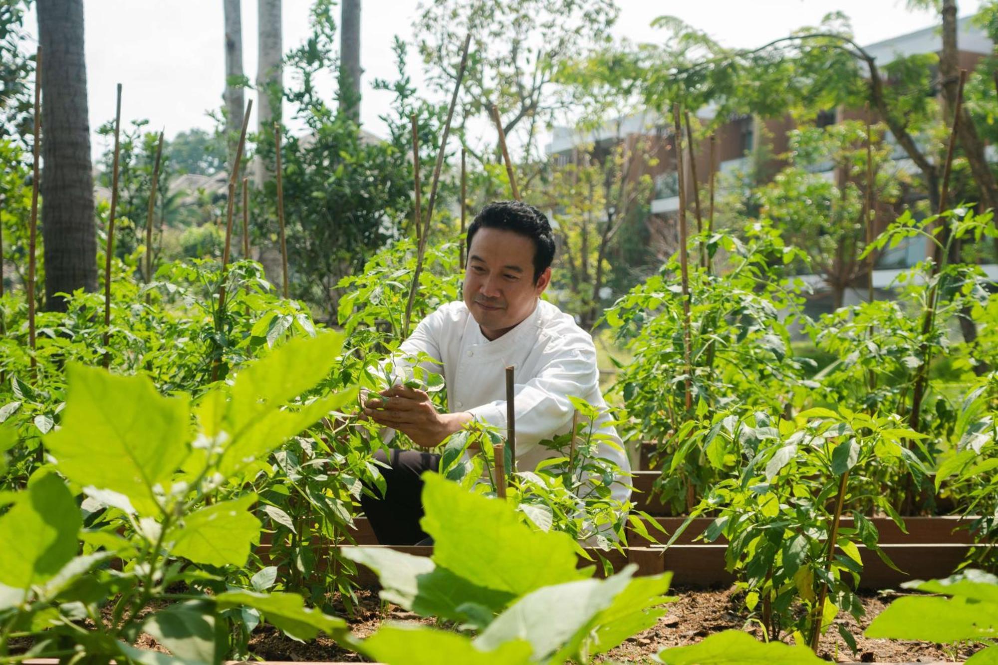Hotel Hyatt Regency Koh Samui Chaweng  Exterior foto Chef Hung at the farm